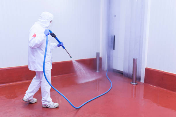 Best Playground Equipment Cleaning  in Palmyra, NJ