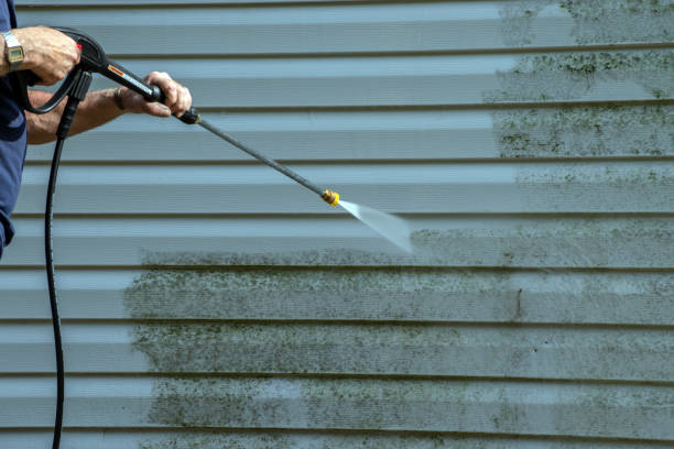 Best Driveway Pressure Washing  in Palmyra, NJ